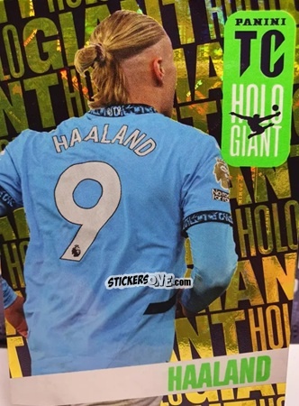 Cromo Erling Haaland - FIFA Top Class 2025
 n. HG5 - Panini