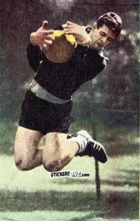 Cromo Wolfgang Fahrian - Die neue Bundesliga 1964-1965
 n. 3 - Sicker-Verlag