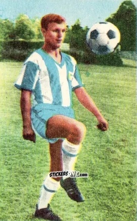 Sticker Lothar Groß - Die neue Bundesliga 1964-1965
 n. 8 - Sicker-Verlag