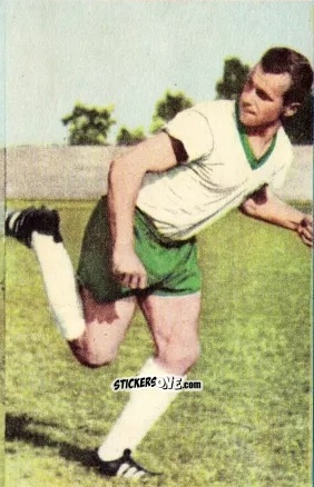 Sticker Helmut Schimeczek - Die neue Bundesliga 1964-1965
 n. 41 - Sicker-Verlag