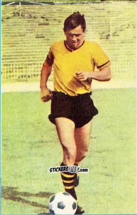 Sticker Reinhold Wosab - Die neue Bundesliga 1964-1965
 n. 59 - Sicker-Verlag