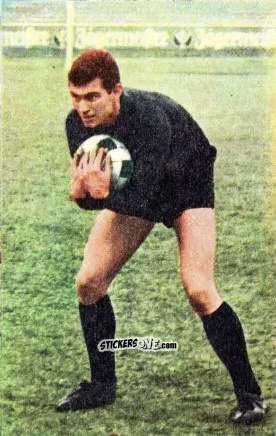 Sticker Horst-Dieter Strich - Die neue Bundesliga 1964-1965
 n. 148 - Sicker-Verlag
