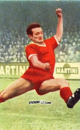 Sticker Roland Kiefaber - Die neue Bundesliga 1964-1965
 n. 149 - Sicker-Verlag