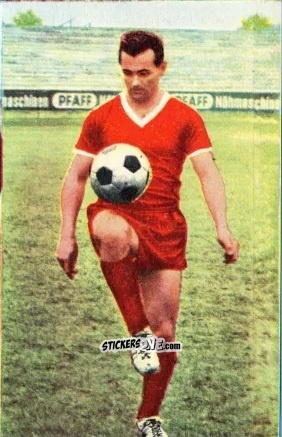 Sticker Willy Reitgassl - Die neue Bundesliga 1964-1965
 n. 158 - Sicker-Verlag