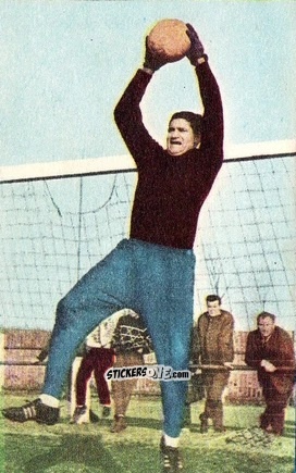 Sticker Petar Radenković - Die neue Bundesliga 1964-1965
 n. 195 - Sicker-Verlag