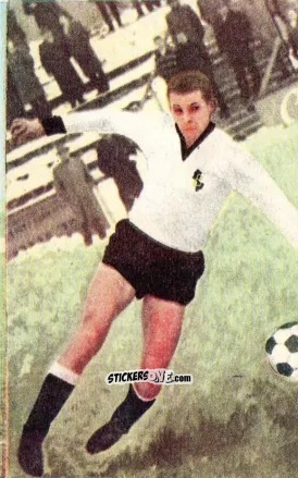 Cromo Günther Kuntz - Die neue Bundesliga 1964-1965
 n. 223 - Sicker-Verlag