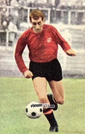 Cromo Tasso Wild - Die neue Bundesliga 1964-1965
 n. 238 - Sicker-Verlag
