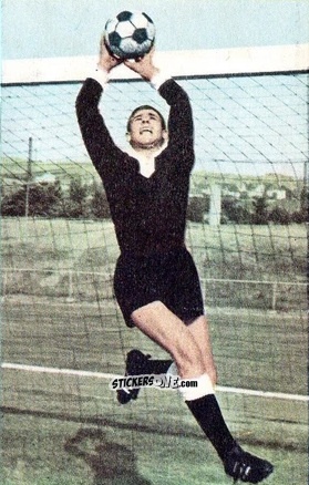Cromo Werner Pfeifer - Die neue Bundesliga 1964-1965
 n. 244 - Sicker-Verlag
