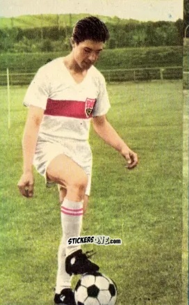 Cromo Eberhard Pfisterer - Die neue Bundesliga 1964-1965
 n. 249 - Sicker-Verlag