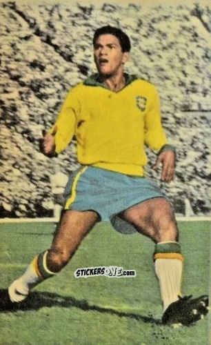 Sticker Garrincha - Die neue Bundesliga 1964-1965
 n. 293 - Sicker-Verlag