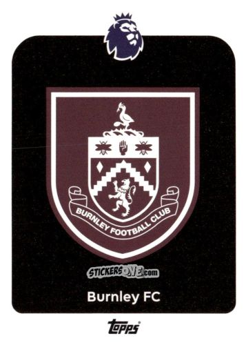 Cromo Team Badge - Premier League 2026 Trading Cards
 n. 307 - Topps