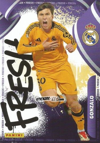 Sticker Gonzalo García Torres - Club Real Madrid 2024-2025 n. 48 - Panini