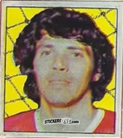 Figurina Figueiroa - Campeonato Nacional 76
 n. 14 - Editora e Impressora Graf Set Ltda