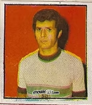 Cromo Nene - Campeonato Nacional 76
 n. 42 - Editora e Impressora Graf Set Ltda