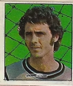 Figurina Gato Felix - Campeonato Nacional 76
 n. 49 - Editora e Impressora Graf Set Ltda