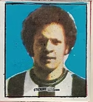 Figurina Reinaldo - Campeonato Nacional 76
 n. 131 - Editora e Impressora Graf Set Ltda