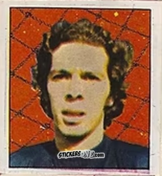 Figurina Leao - Campeonato Nacional 76
 n. 145 - Editora e Impressora Graf Set Ltda