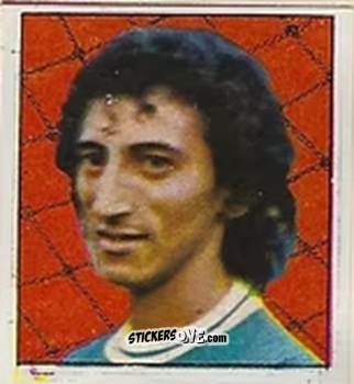 Figurina Rosemiro - Campeonato Nacional 76
 n. 146 - Editora e Impressora Graf Set Ltda