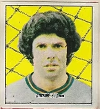 Cromo Mendes - Campeonato Nacional 76
 n. 171 - Editora e Impressora Graf Set Ltda