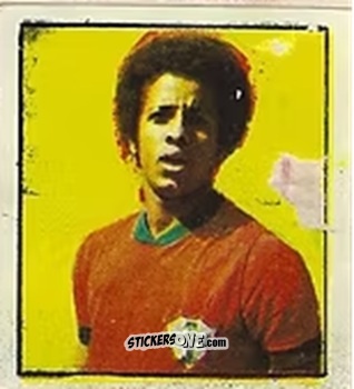 Cromo Rui Rei - Campeonato Nacional 76
 n. 175 - Editora e Impressora Graf Set Ltda