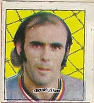 Cromo Waldir Peres - Campeonato Nacional 76
 n. 181 - Editora e Impressora Graf Set Ltda