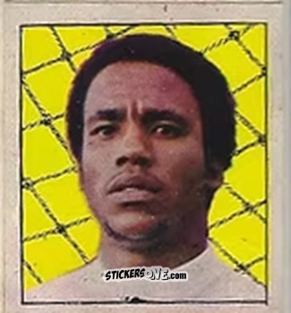 Sticker Serginho - Campeonato Nacional 76
 n. 189 - Editora e Impressora Graf Set Ltda