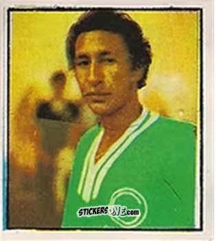 Cromo Edson - Campeonato Nacional 76
 n. 254 - Editora e Impressora Graf Set Ltda