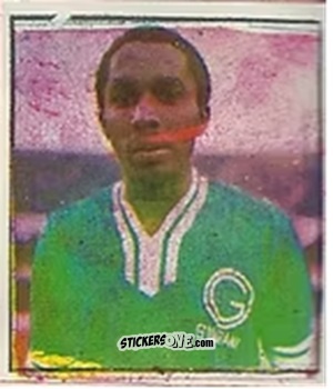 Cromo Amaral - Campeonato Nacional 76
 n. 255 - Editora e Impressora Graf Set Ltda