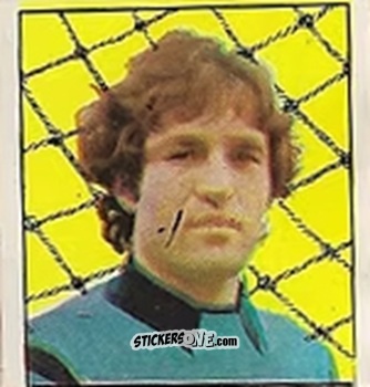 Figurina Wilson - Campeonato Nacional 76
 n. 349 - Editora e Impressora Graf Set Ltda