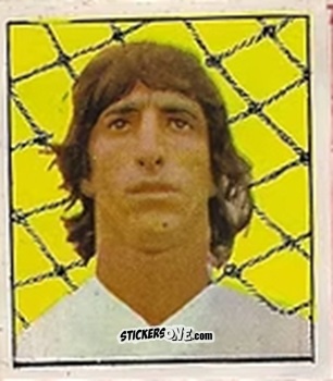 Figurina Fernando - Campeonato Nacional 76
 n. 350 - Editora e Impressora Graf Set Ltda