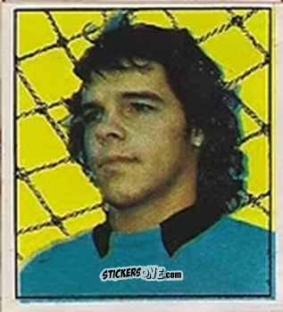 Figurina Paulo Sergio - Campeonato Nacional 76
 n. 361 - Editora e Impressora Graf Set Ltda