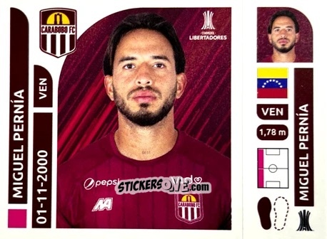 Sticker Miguel Pernía