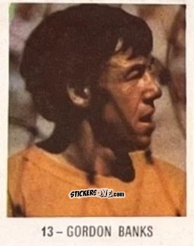 Cromo Gordon Banks - El Libro de Los Mundiales 1977
 n. 13 - SUPERCOLLECION