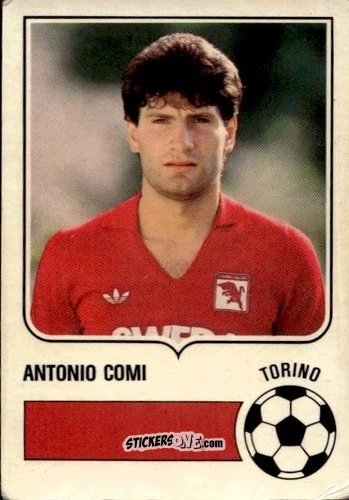 Sticker Antonio Comi - Forza Goal 1984-1985
 n. TOR2 - Perfetti