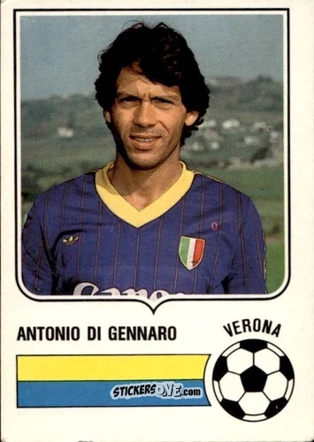 Sticker Antonio Di Gennaro - Forza Goal 1984-1985
 n. VER13 - Perfetti