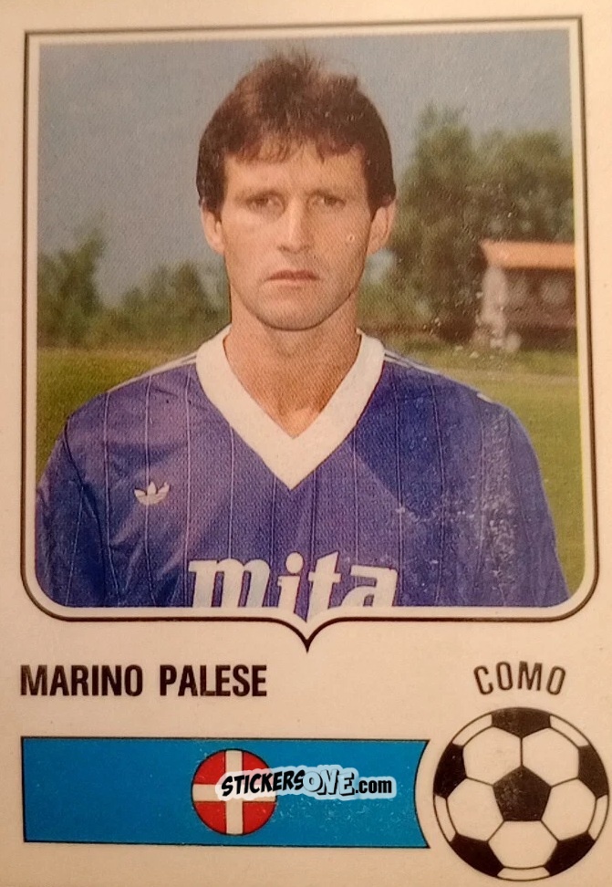 Sticker Marino Palese - Forza Goal 1984-1985
 n. COM17 - Perfetti
