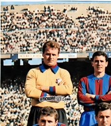 Sticker Squadra 1 - Tutti i Calciatori 1964-65
 n. 64 - MIRA