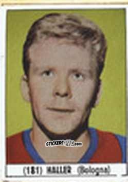 Cromo Haller - Calcio Italia 1965-66
 n. 181 - Baggioli