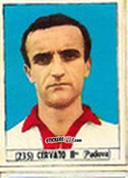 Figurina Cervato II - Calcio Italia 1965-66 n. 235 - Baggioli