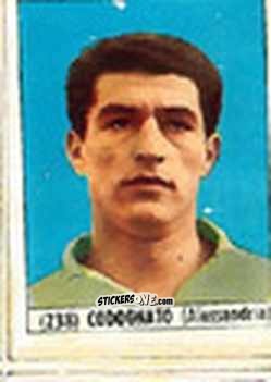 Figurina Codognato - Calcio Italia 1965-66 n. 238 - Baggioli