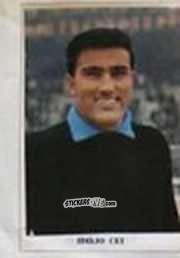 Sticker Idilio Cei