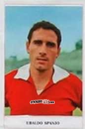 Sticker Ubaldo Spanio