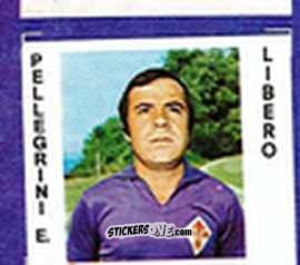 Cromo Pellegrini