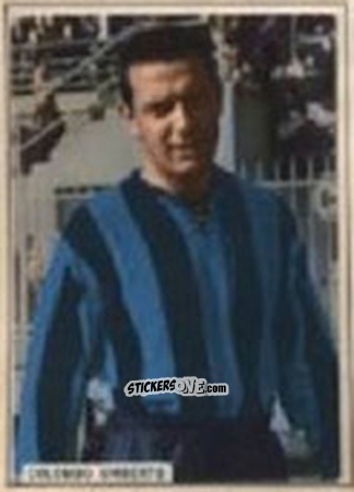 Figurina COLOMBO