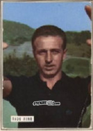 Figurina HALLER