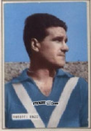 Figurina ROBOTTI