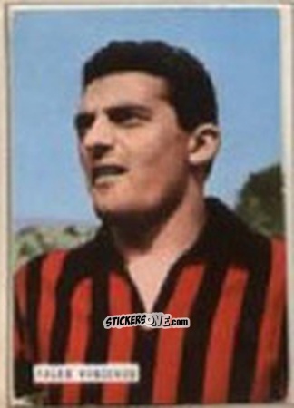 Figurina FALEO