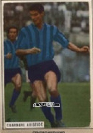 Figurina GUARNERI