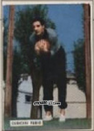 Figurina CUDICINI