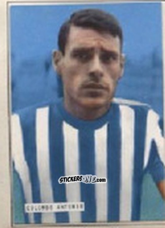 Figurina COLOMBO
